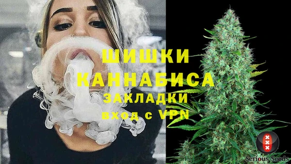 стаф Верхний Тагил