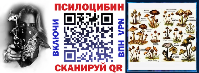 закладка  Каменск-Уральский  Галлюциногенные грибы MAGIC MUSHROOMS 